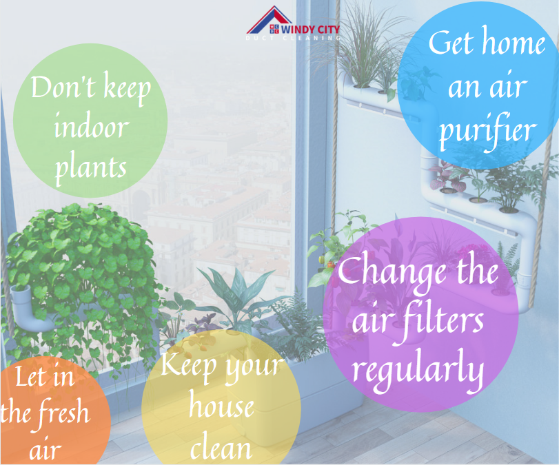 Ako môžu rastliny zlepšiť kvalitu vzduchu v interiéri
